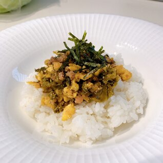 ランチに！お弁当に！明太高菜丼！